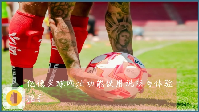 亿德买球网址功能使用说明与体验指引