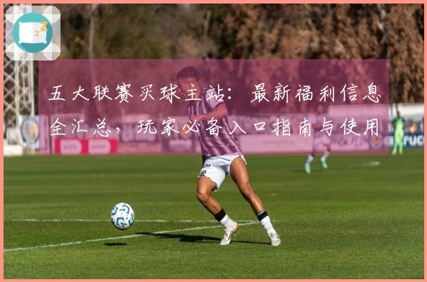 五大联赛买球主站：最新福利信息全汇总，玩家必备入口指南与使用体验分享